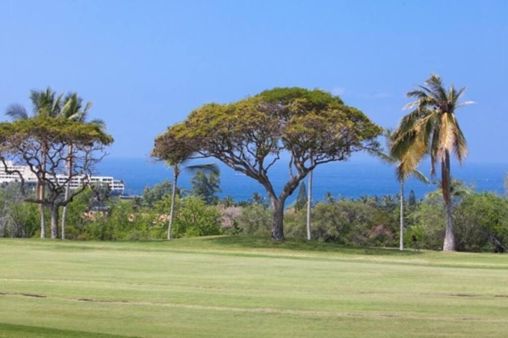 Beautiful 2/2 Condo In Kailua Kona. Ocean View! 外观 照片